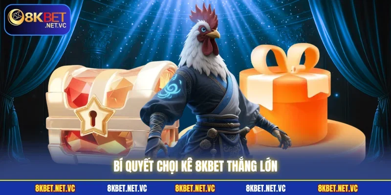 Bí quyết Chọi Kê 8KBET thắng lớn 