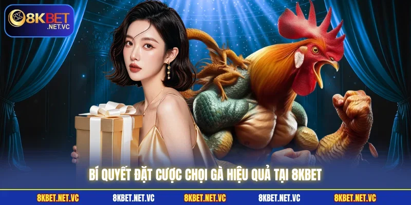 Bí quyết đặt cược chọi gà hiệu quả tại 8KBET