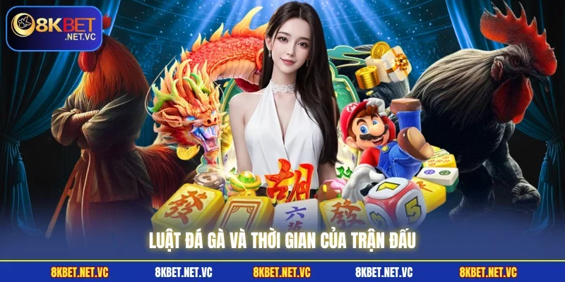 Đá Gà Cựa Dao - Tổng Hợp Luật Chơi Cơ Bản Mà Kê Thủ Cần Nắm 2 Luật đá gà và thời gian của trận đấu