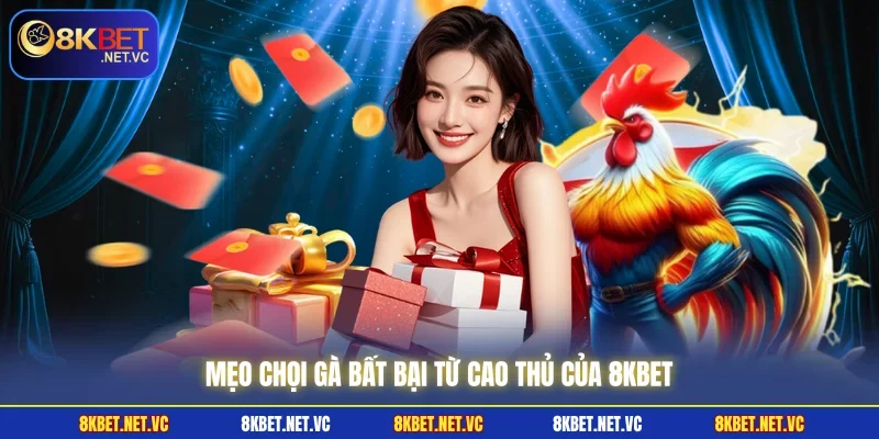 Đá Gà Cựa Dao - Tổng Hợp Luật Chơi Cơ Bản Mà Kê Thủ Cần Nắm 3 Mẹo chọi gà bất bại từ cao thủ của 8KBET